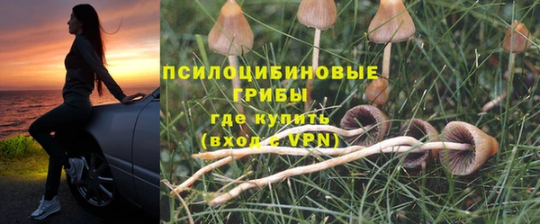 прущая мука Богородск