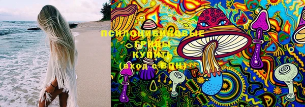ECSTASY Богородицк