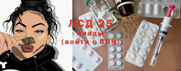 ECSTASY Богородицк